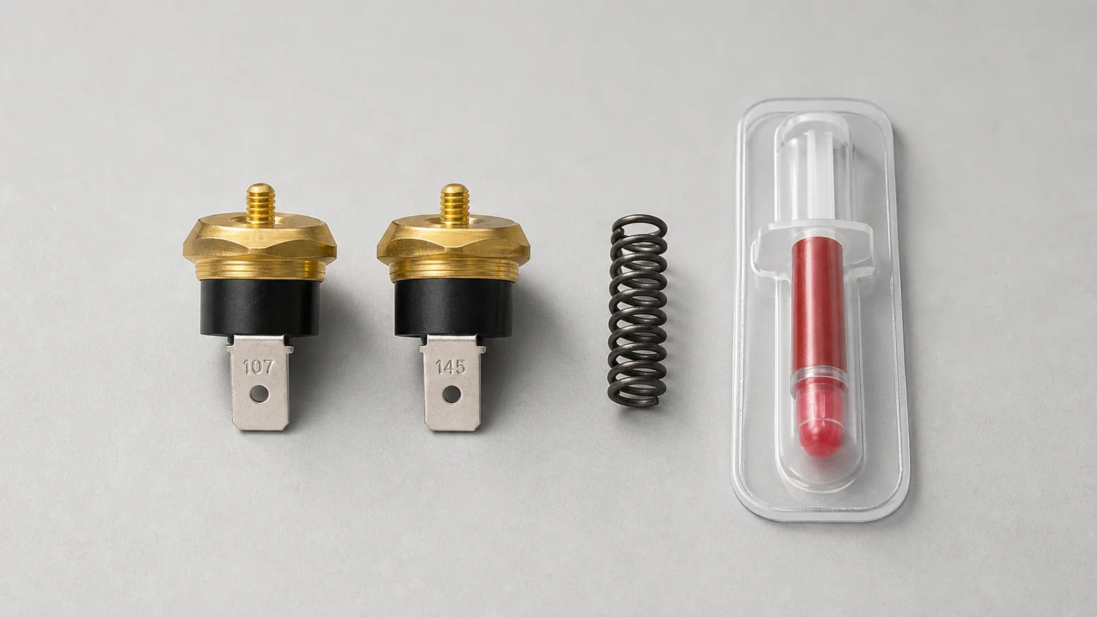 Complete Gaggia thermostat replacement set with two thermostats, spring, and thermal grease