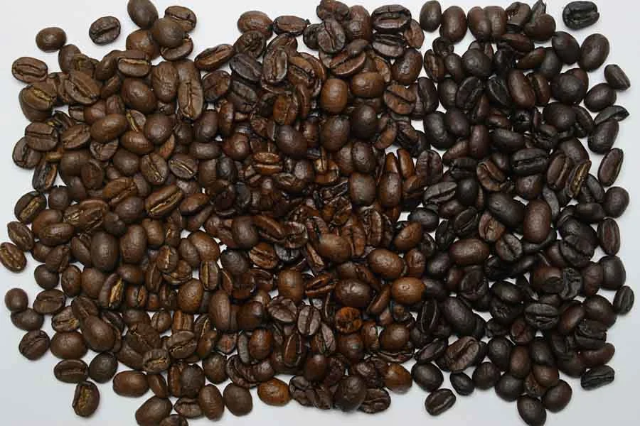 Light, medium and dark roasted coffee beans arranged side by side on a pale surface.