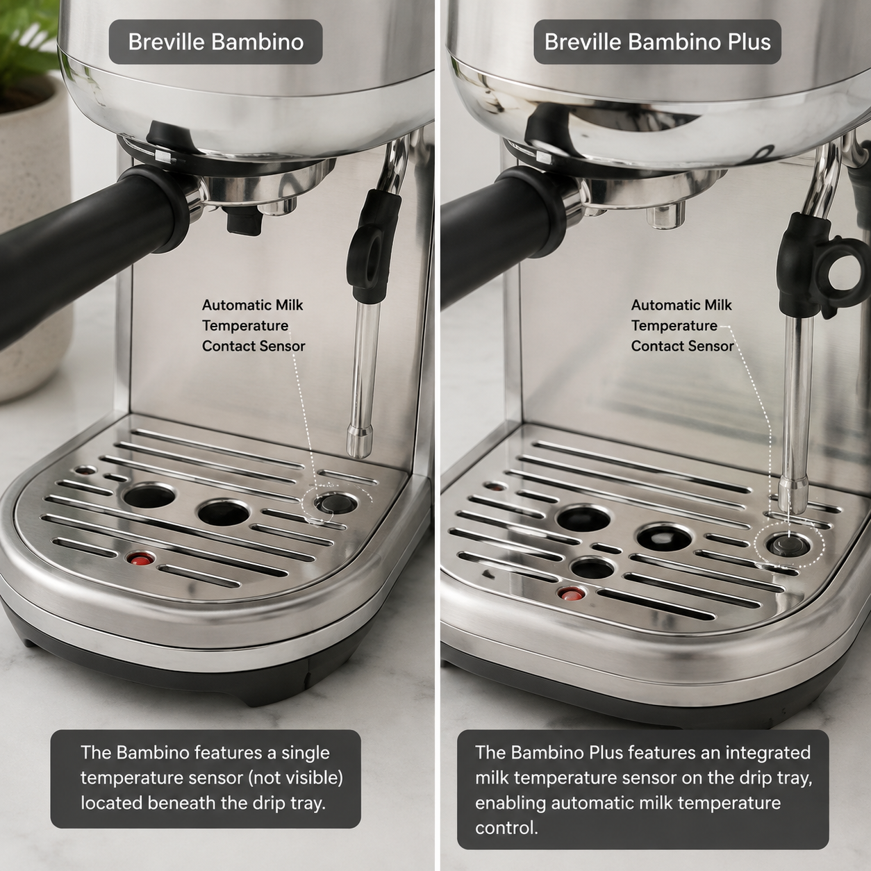 Close-up of Bambino Plus auto-purge steam wand base and thermal temperature sensor in drip tray