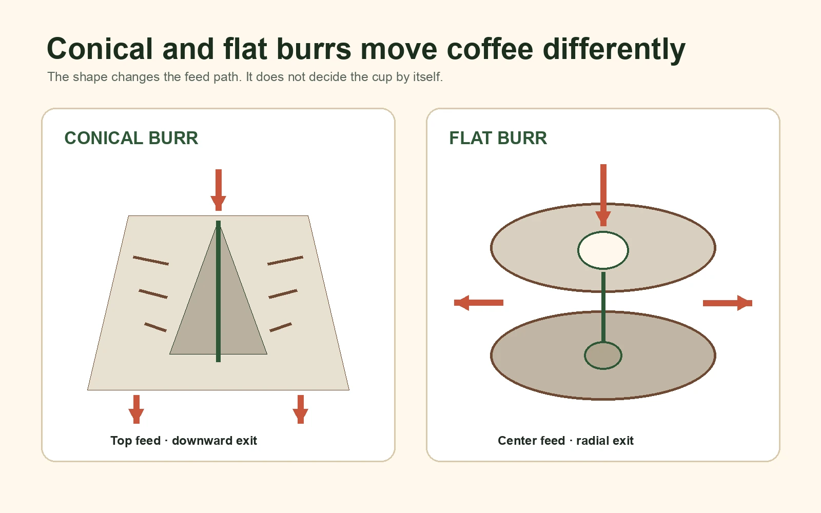 Simplified conical and flat coffee burr feed paths with top feed, downward exit and radial exit