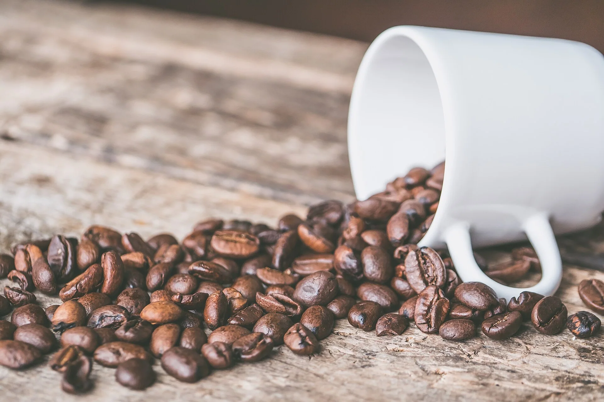 Whole coffee beans beside a white mug before grinding for a French press brew