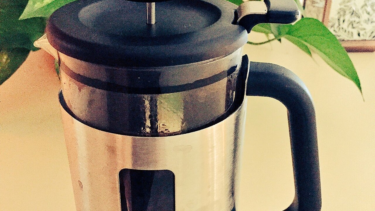 French press beside green houseplants on a kitchen counter