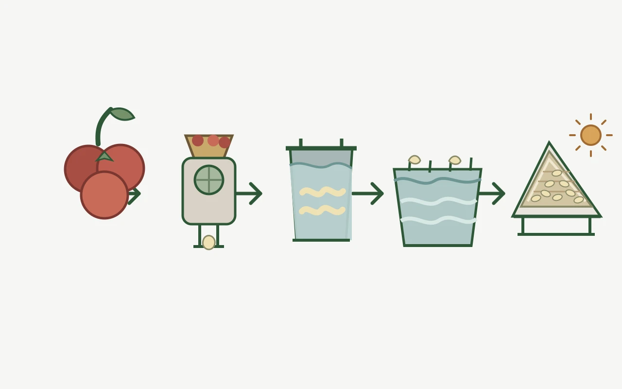 Washed-coffee process still — you compact a bed of particles, you do not weigh the handle