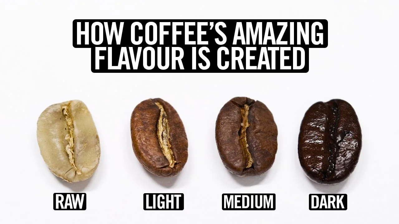 Roasting still — a session is brew, then steam, then recover