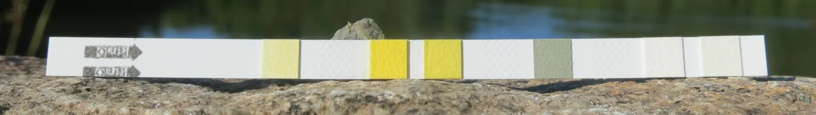 Water hardness test strip used to check general and carbonate hardness before filling an espresso machine