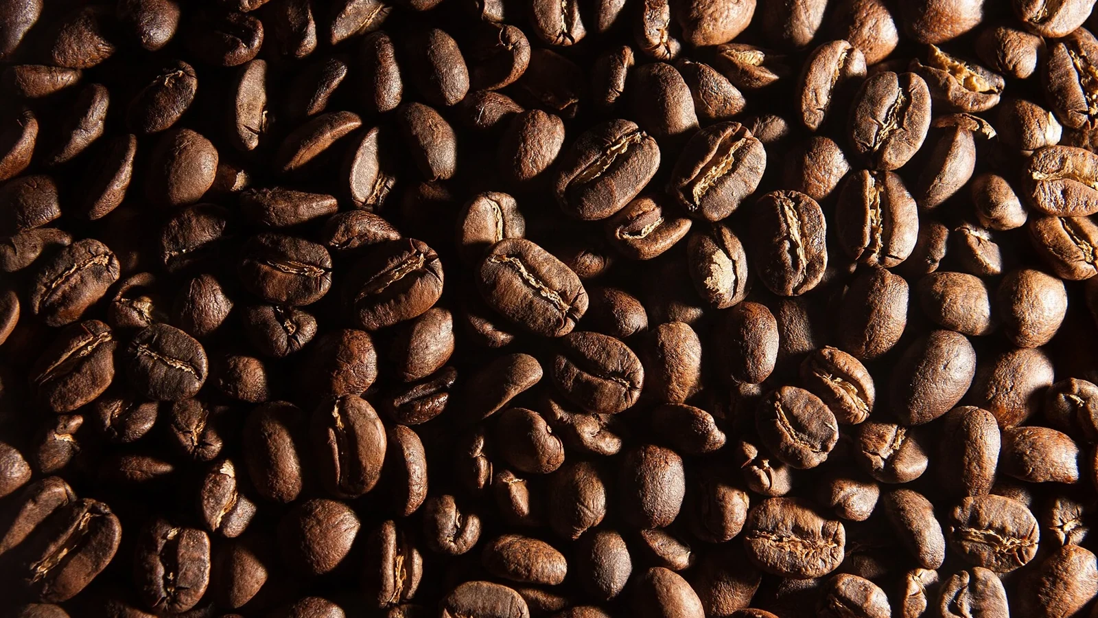 Roasted coffee beans lit from the side