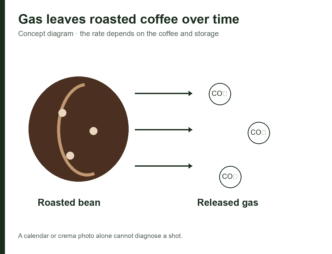 Concept diagram of carbon dioxide leaving a roasted coffee bean